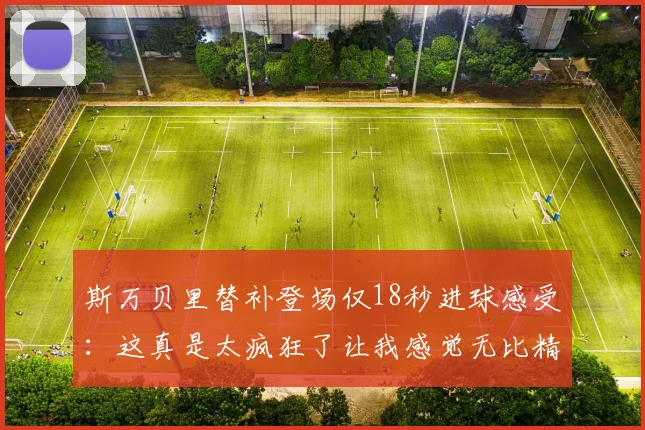 斯万贝里替补登场仅18秒进球感受：这真是太疯狂了让我感觉无比精彩